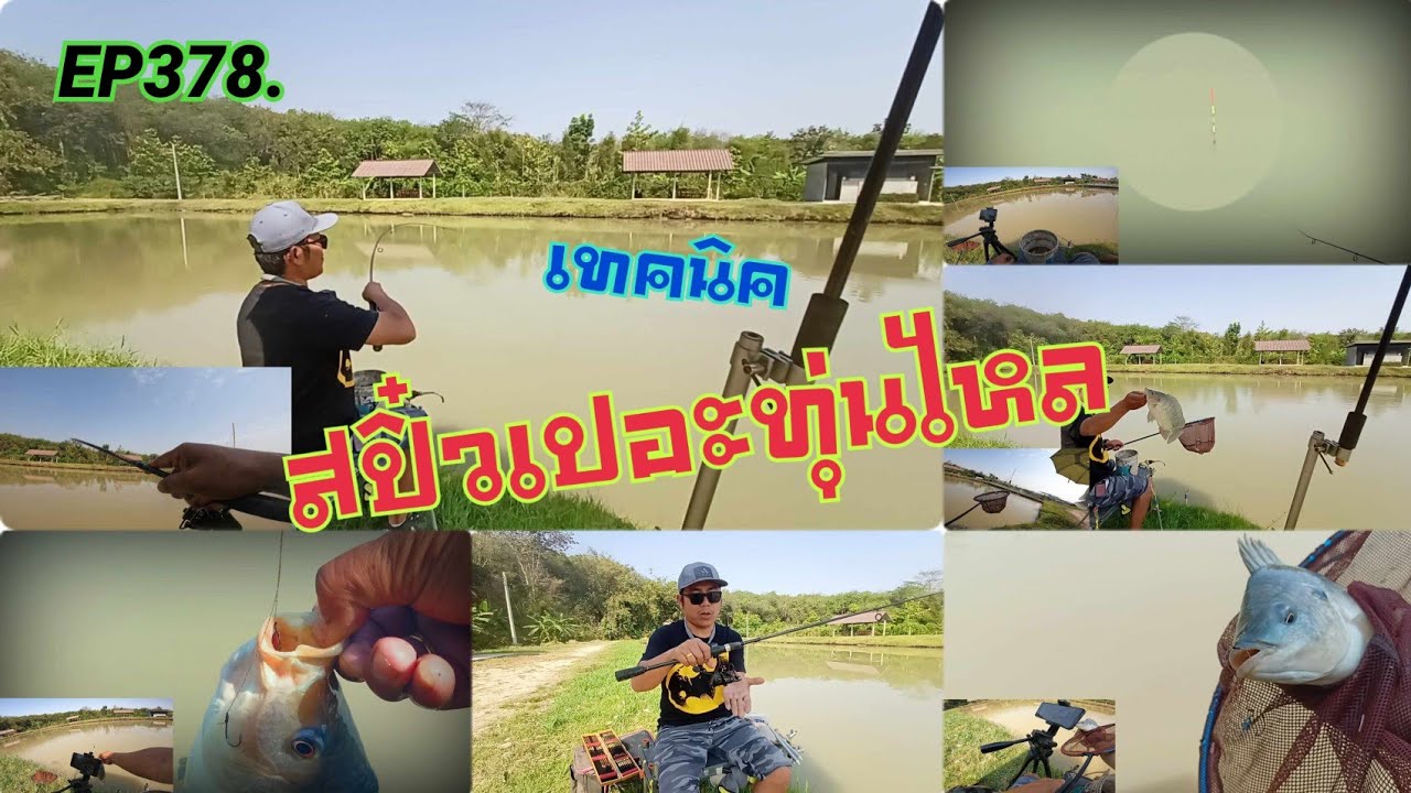 EP378. เทคนิคสปิ๋วเปอะทุ่นไหล (เมื่อปลาหนีไปกินไกลเกินระยะคันชิงหลิว ก็ต้องใช้สปิ๋วช่วย)