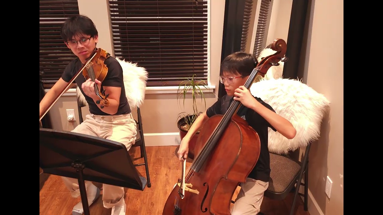 Promise | Laufey (Violin and Cello Cover)