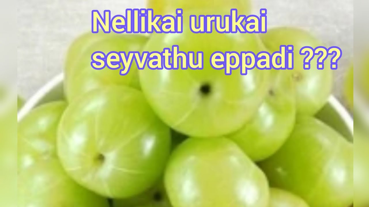 NELLIKAI URUKAI SEYVATHU EPPADI ???- (HOW TO MAKE AMLA PICKLE) Full video in tamil #buymote