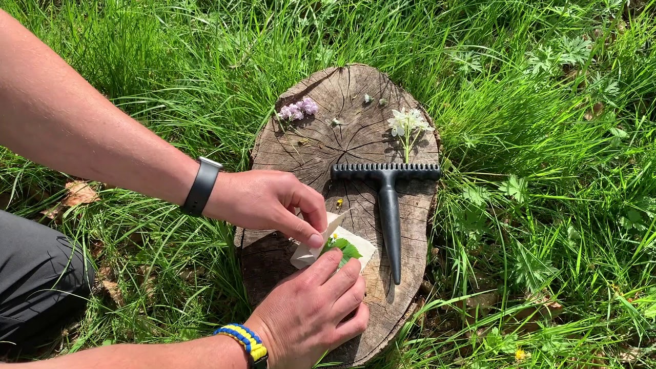 Forest School Activities | Leaf Bashing