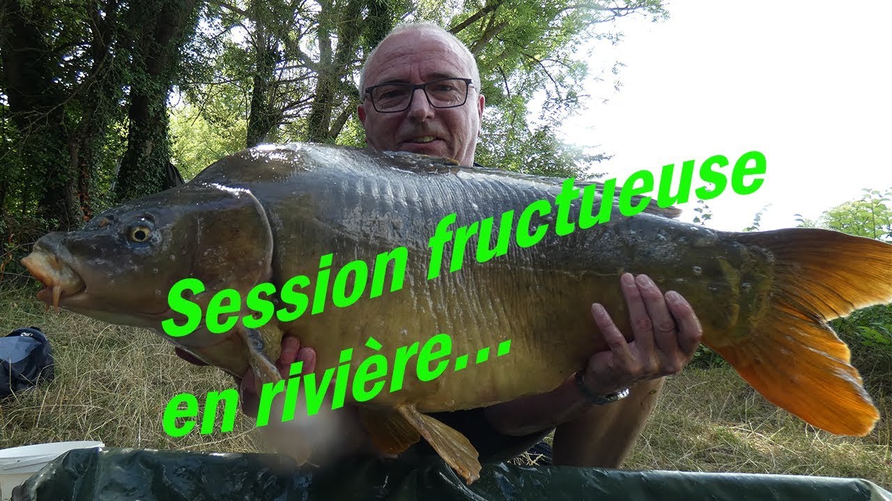 Pêche de la carpe 