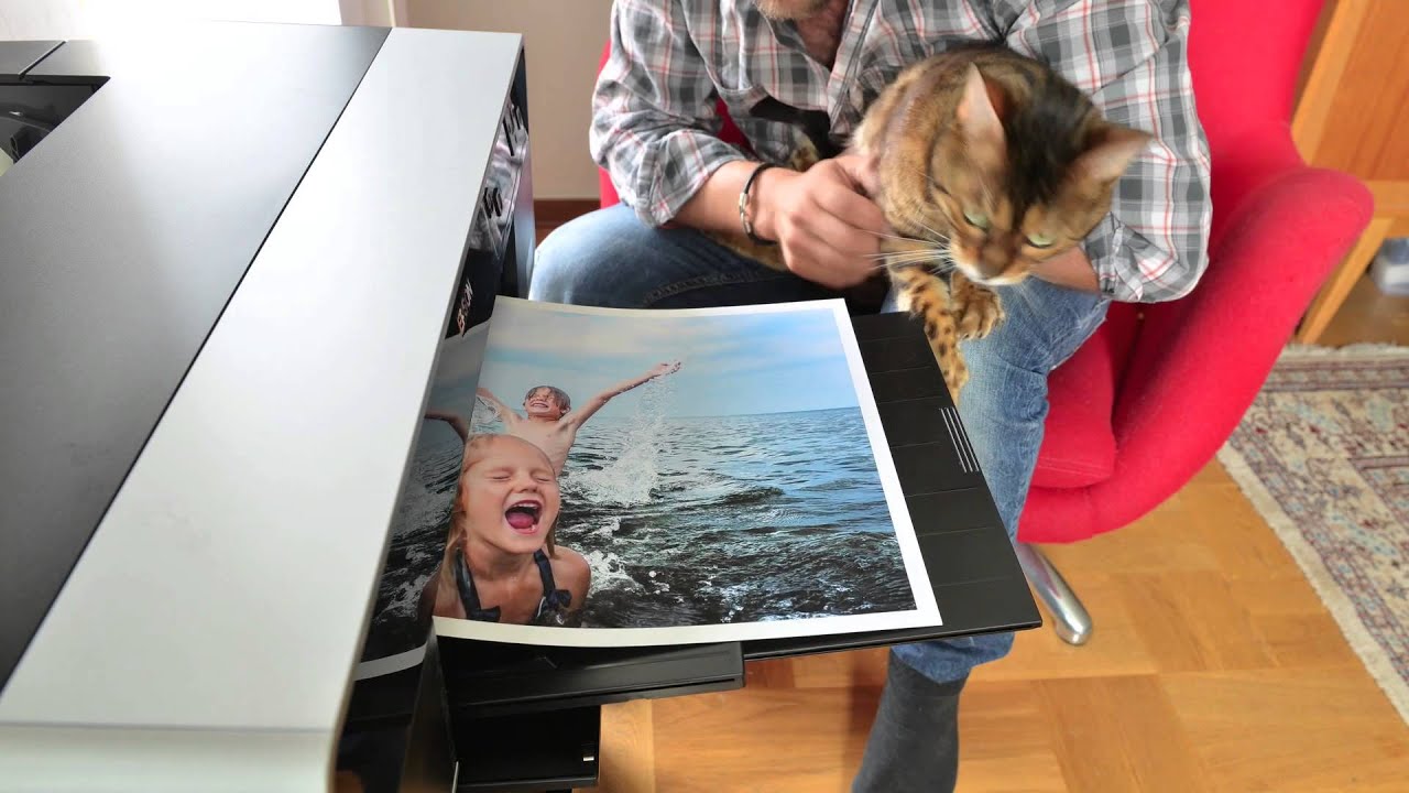Epson R3000 unboxing and printing with Hilding our Bengal Cat