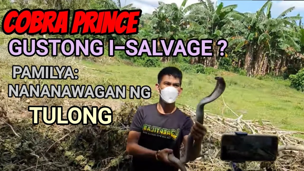 COBRA PRINCE GUSTONG I-SALVAGE? PAMILYA; NANANAWAGAN NG TULONG