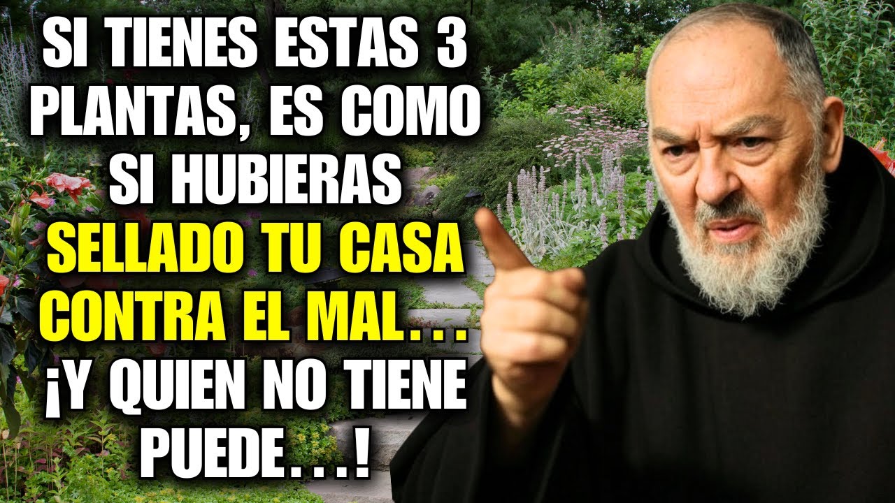 ⚠️ PADRE PÍO REVELA: ¡TENER ESTAS 3 PLANTAS EN CASA PUEDE PROTEGERTE DE TODO MAL!
