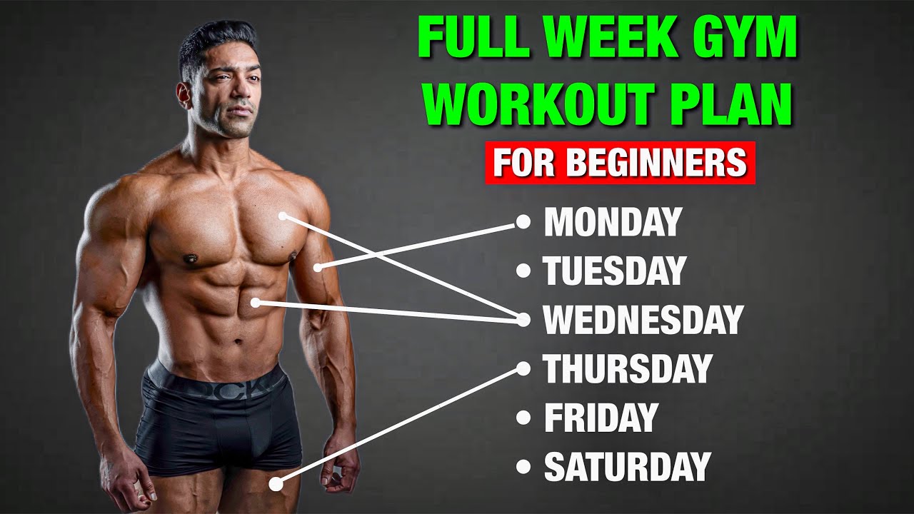 Full Week Gym Workout Plan For Beginners | Muscle Building & Fat Loss