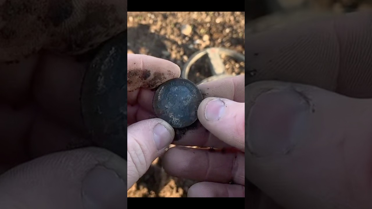 Live dig xp dues George v florin found metal detecting Scotland