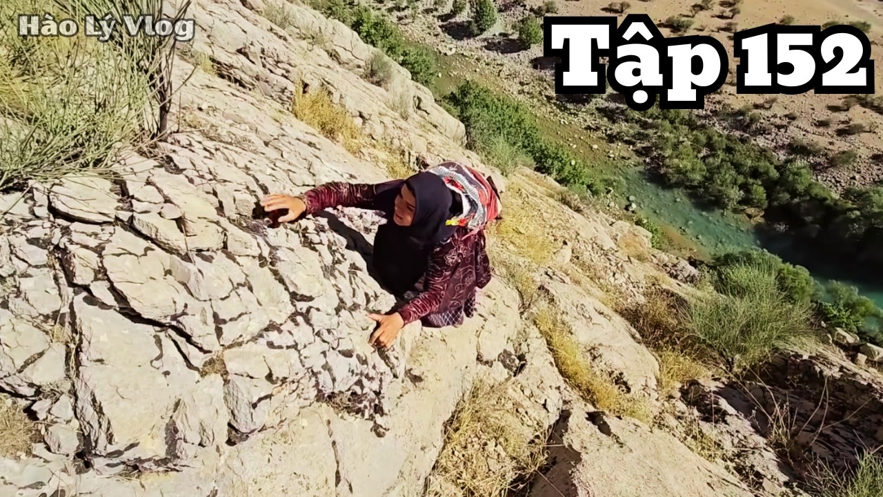 | HAWA - Tập 152 | Cuộc Sống Núi Rừng : Hawa Lên Núi Hái Ngô Về Cho Mẹ Chồng