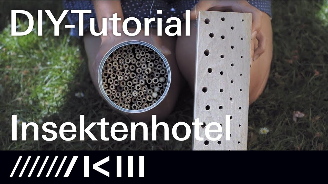 Nisthilfe für Wildbienen selber bauen | Tipps vom Insektenforscher