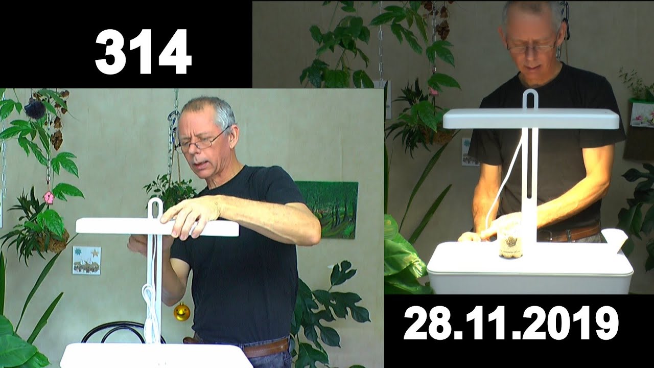 LED Pflanzenleuchte Light Zone mit Timer und Pflanzbehälter. Leuchte höhenverstellbar Unboxing