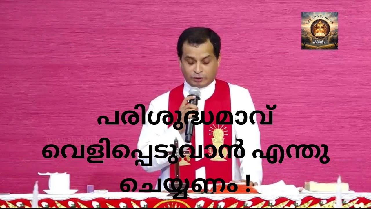 പരിശുദ്ധമാവ് വെളിപ്പെടുവാൻ എന്തു ചെയ്യണം !#frdominicvalanmanal #malayalam #jesuslove 