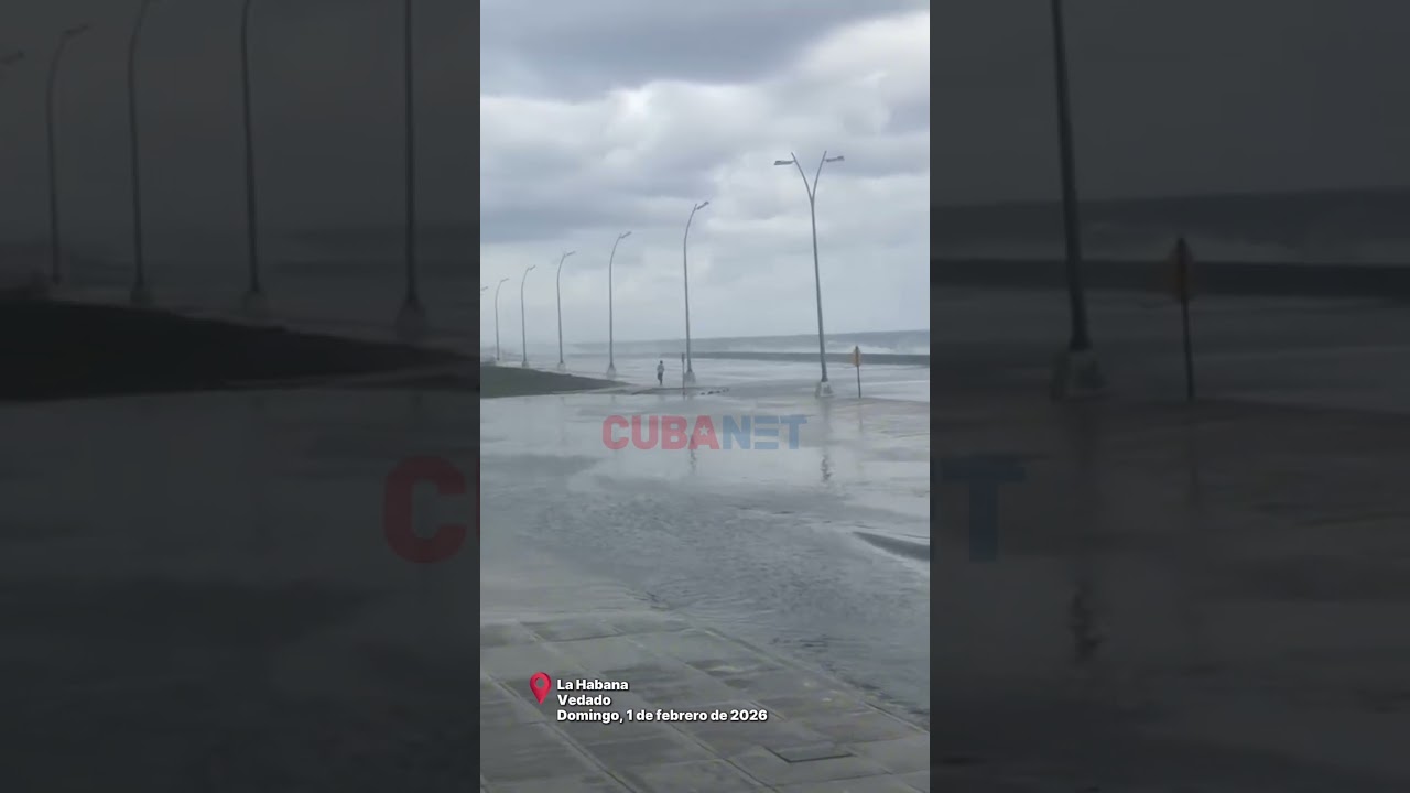 Frente frío provoca inundaciones en el Vedado 🌊