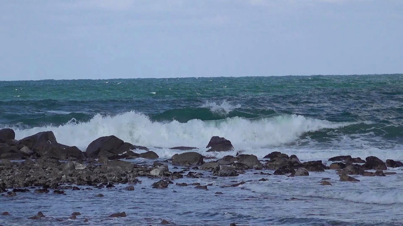 磯の貝捕りとウキ釣りと料理
