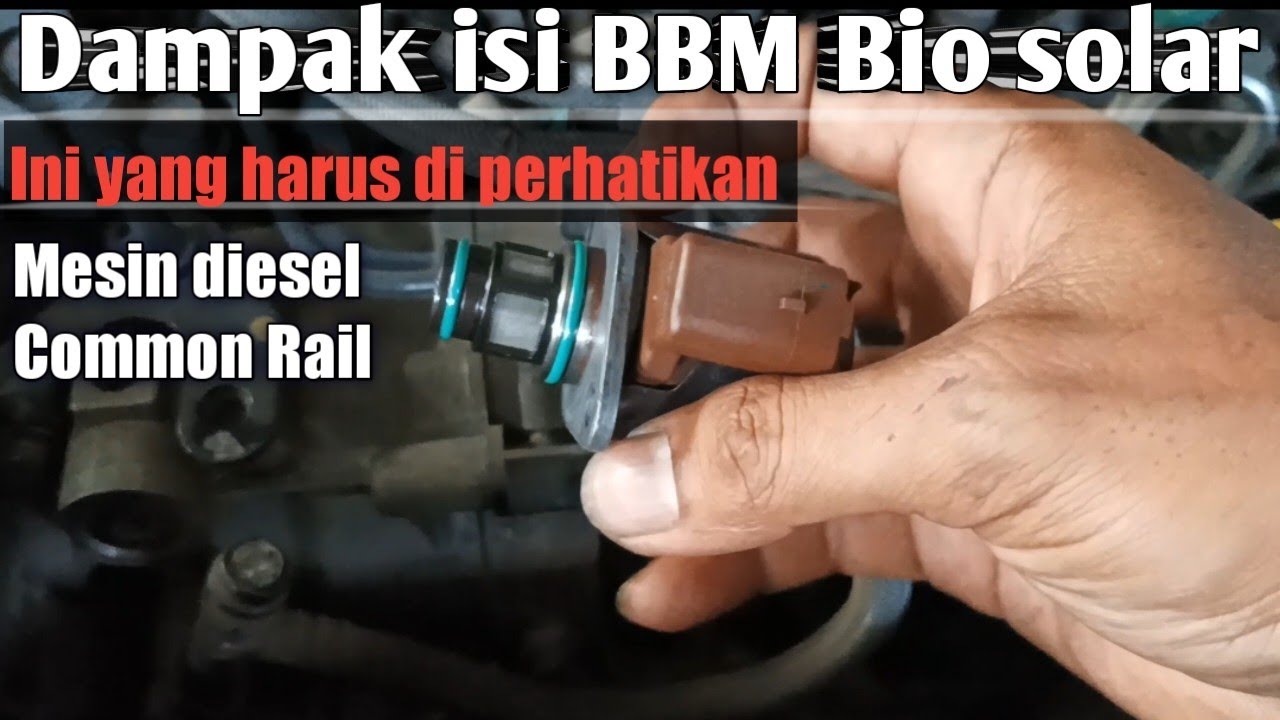 BBM bio solar..?? Amankah untuk mesin diesel common rail🤔.Ini yang harus di perhatikan.