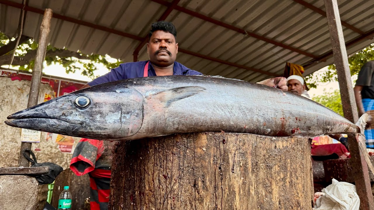KASIMEDU SELVAM BIG VANJARAM FISH CUTTING | UK SONS MARINE 