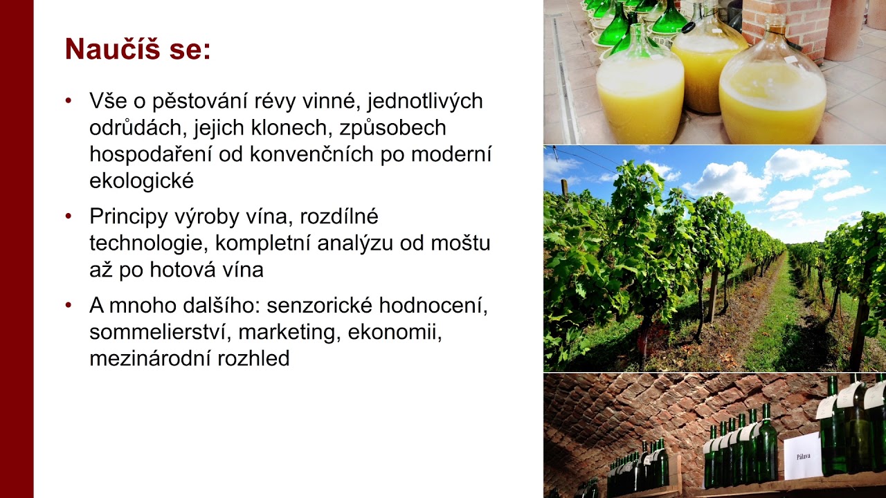 Vinohradnictví a vinařství | Zahradnická fakulta MENDELU