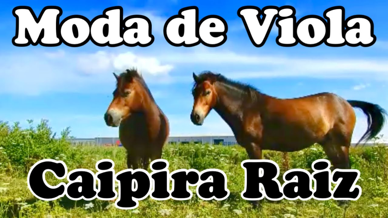 🎶MODA E VIOLA CAIPIRA RAIZ - O Verdadeiro Som da Roça e Sertanejas Antigas