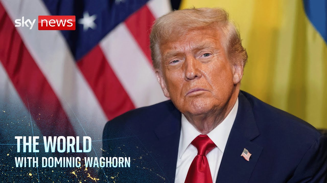 Is the diplomacy around a US-proposed peace plan for Ukraine getting somewhere? | The World