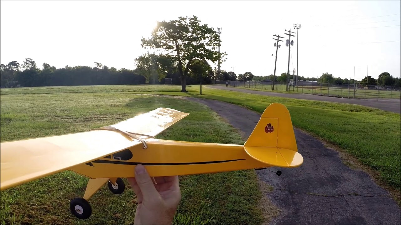 Willy Nillies Cub RC Flights Cox Pee Wee .020