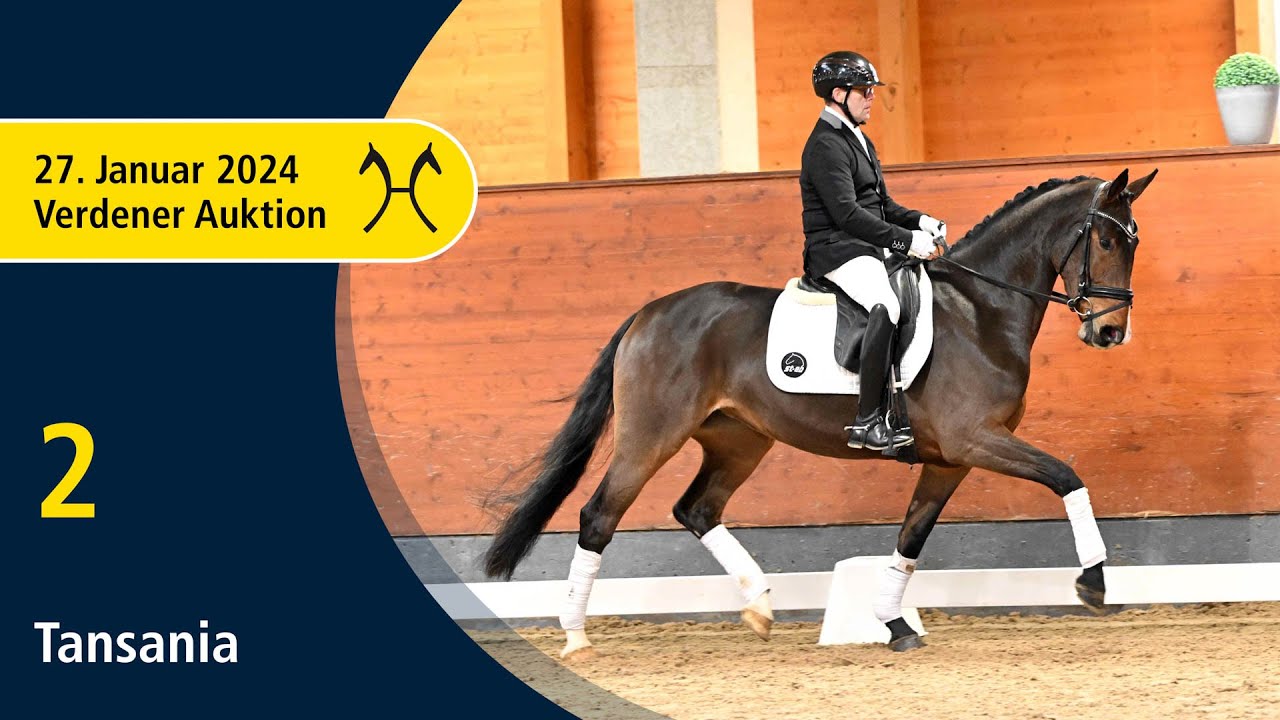 Verden Auction Online - Sporthorses - Jan. 27 - No. 2 Tansania by Total Hope - Prestige Pilot