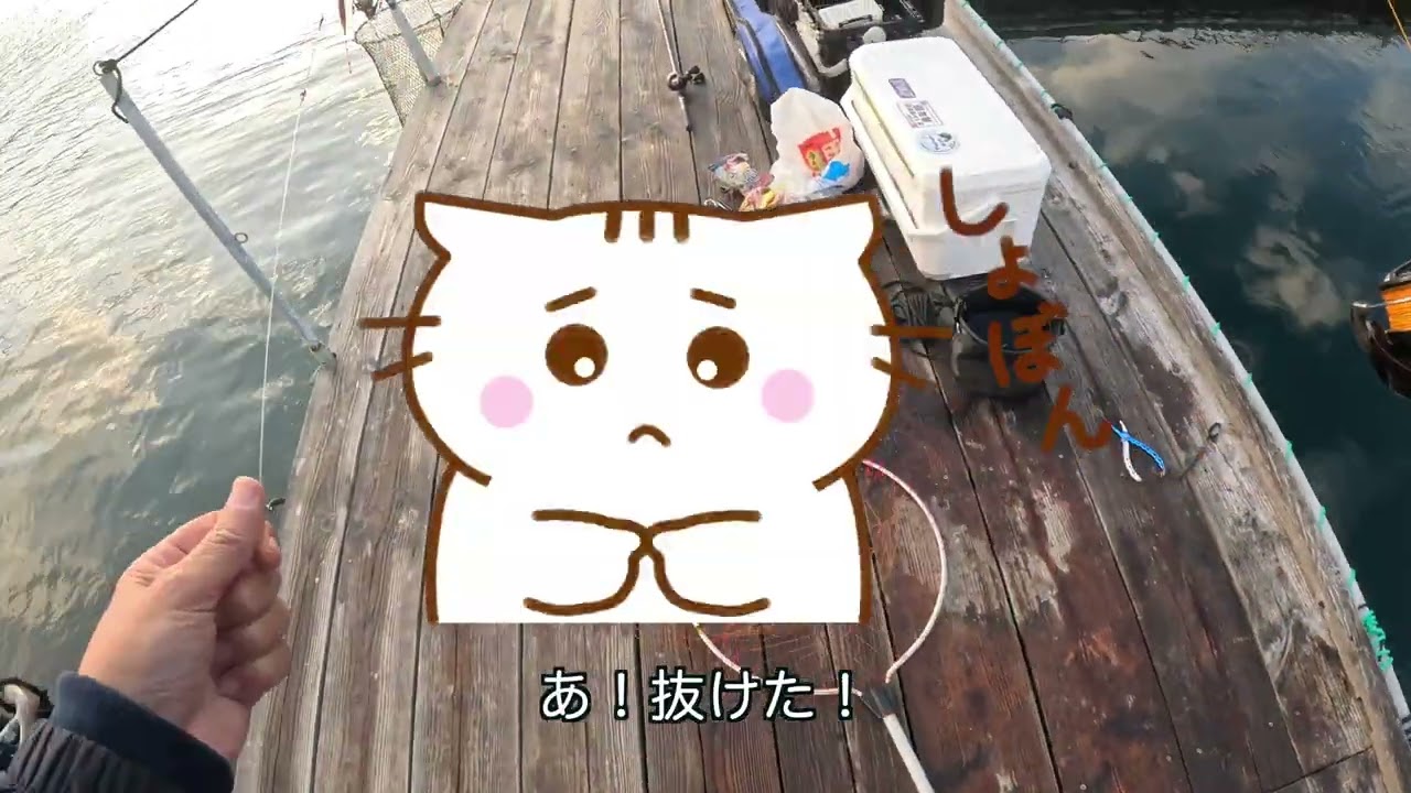 海上釣り堀オーパでYouTuberデビュー   4K
