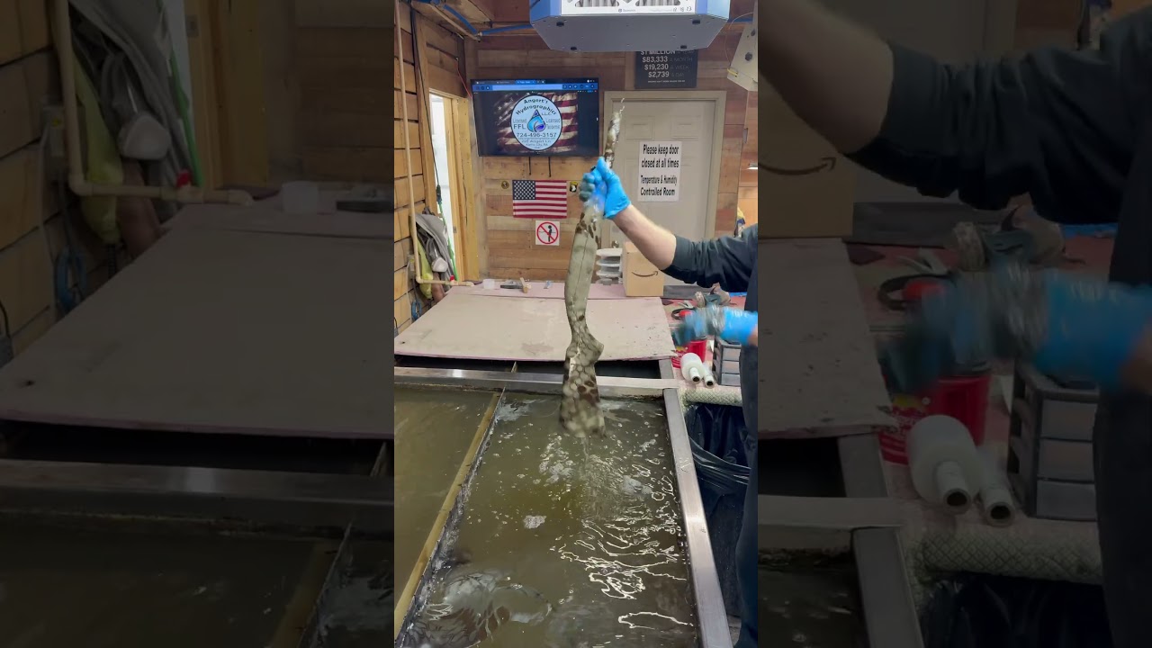 Kryptek camo shotgun hydro dipping #applied #art #satisfying #diy #hunt #hunting #watch