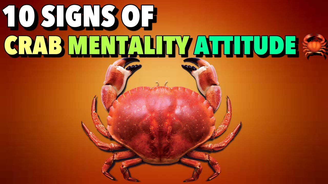 10 Signs of Crab Mentality Attitude | Dangerous Attitude