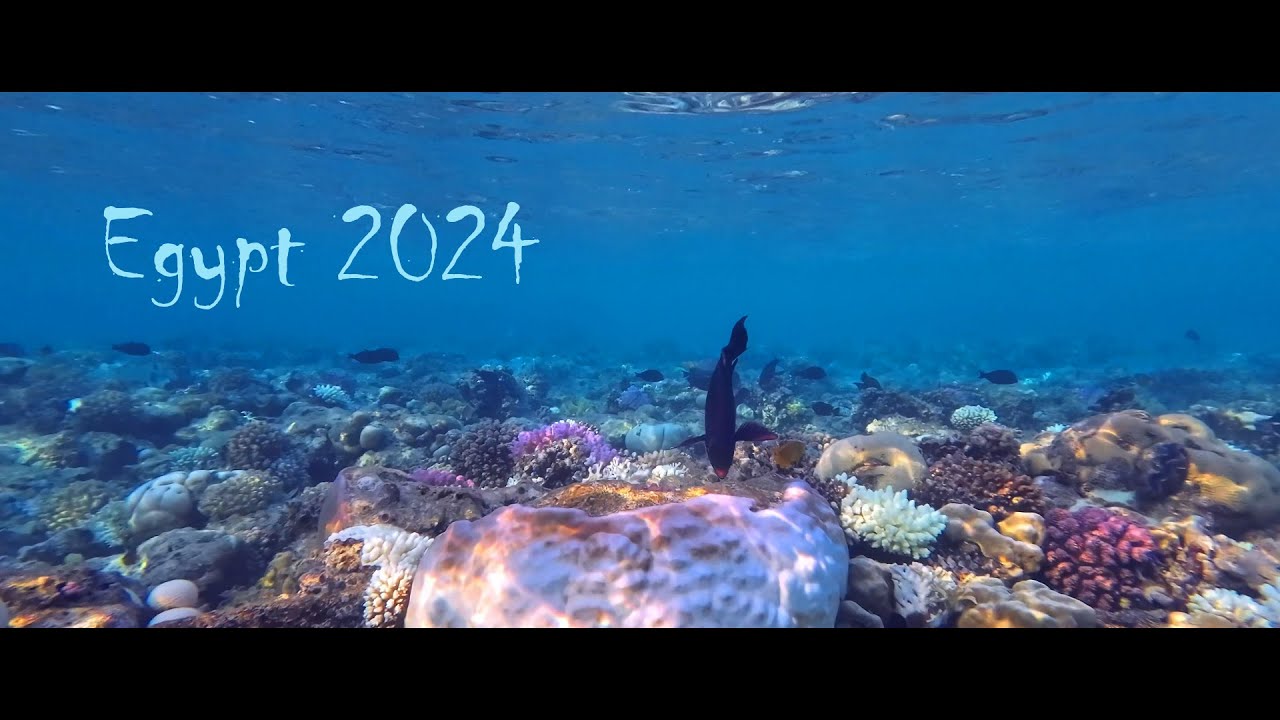 Egypt 2024