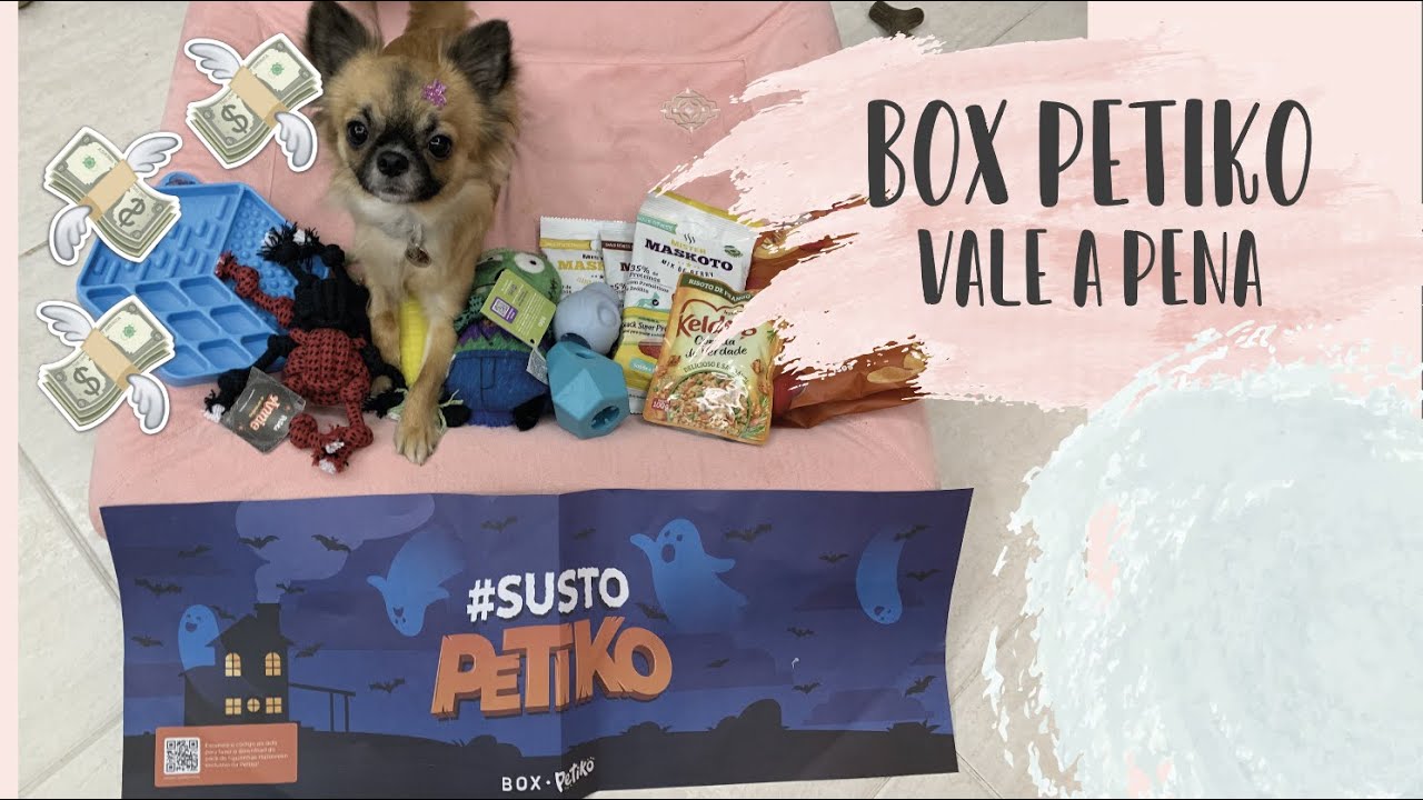 BOX PETIKO | BOX DE ASSINATURA |  VALE A PENA?