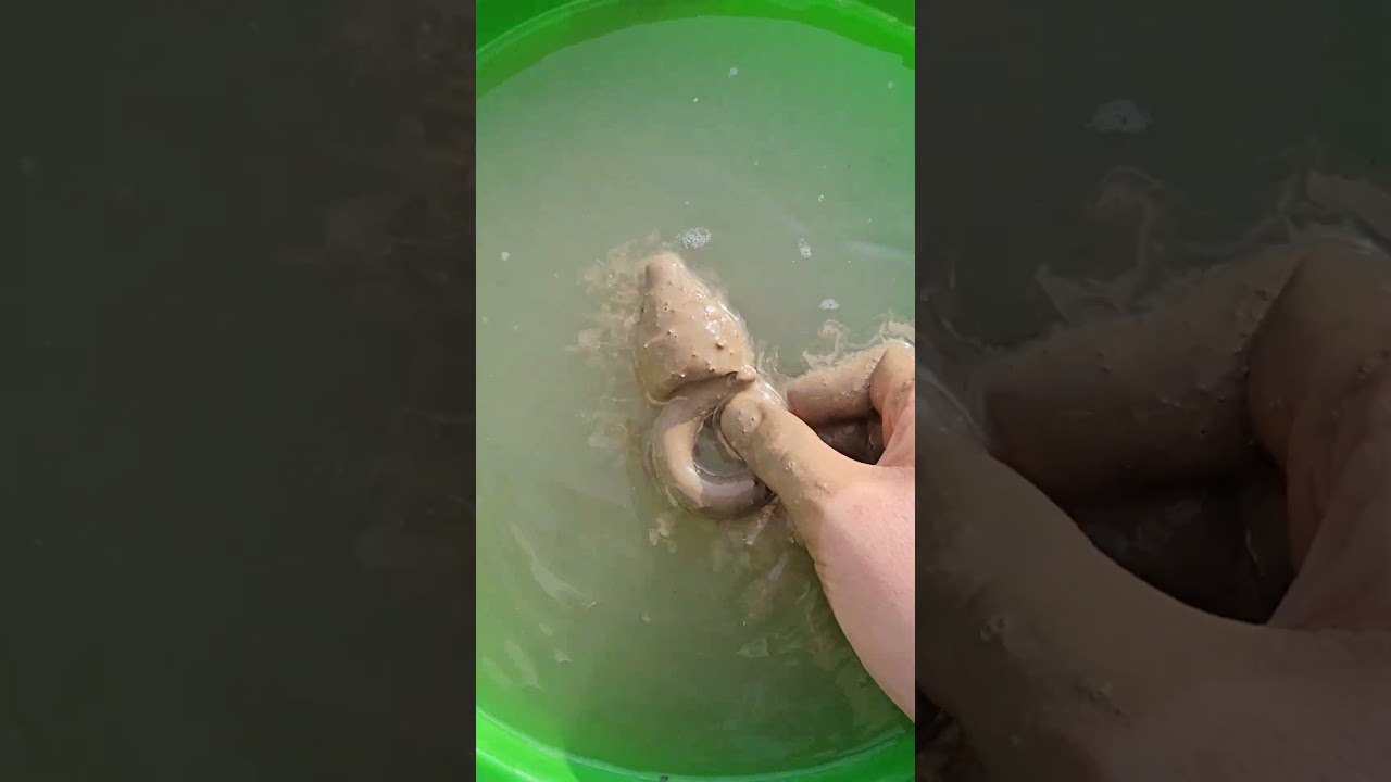 I Dipped Candy in MUD&hellip; Look What Came Out! 😱🍬 #mudmagic#satisfyingtransformation#candyshorts