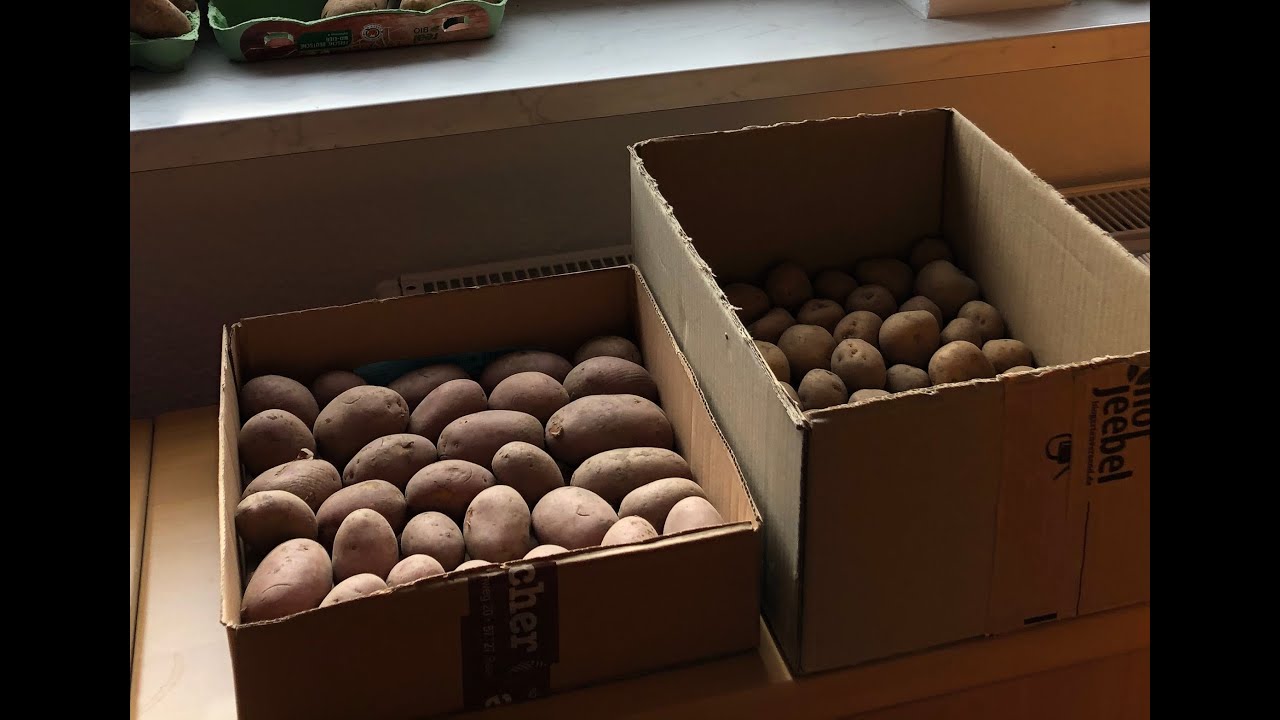 📦 UNBOXING Kartoffeln