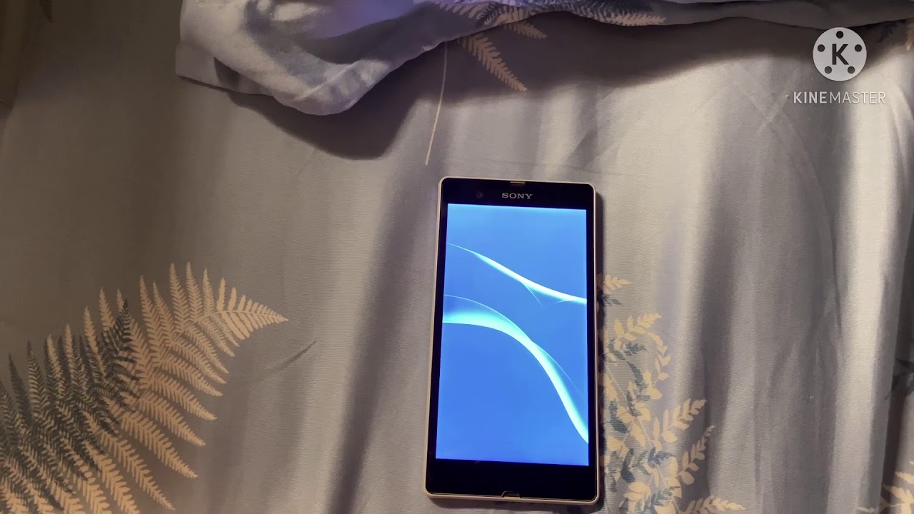 Sony Xperia Z  Boot Animation (PS4 Sound)