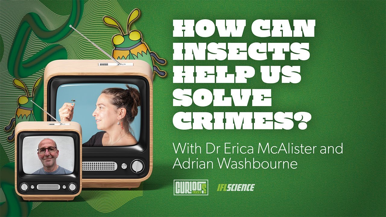 How Can Insects Help Us Solve Crimes? With Entomologist Dr Erica McAlister And Adrian Washbourne