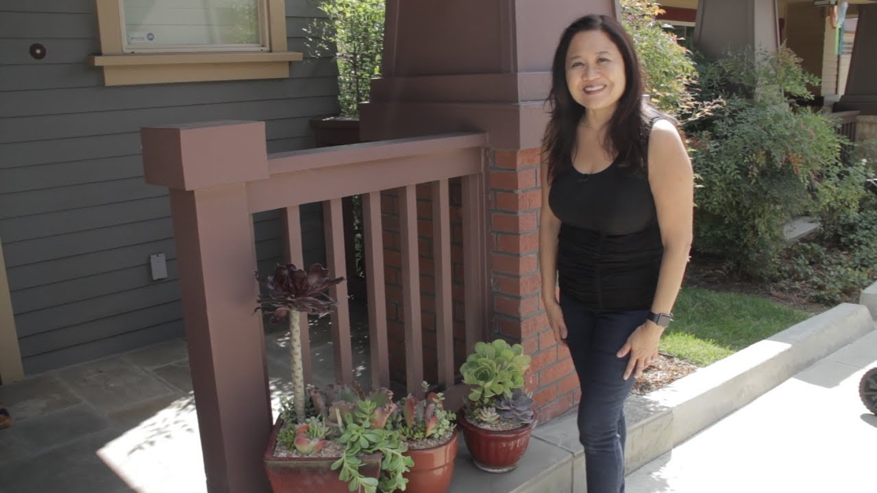 How To Plant 3 Different Succulent Container Gardens