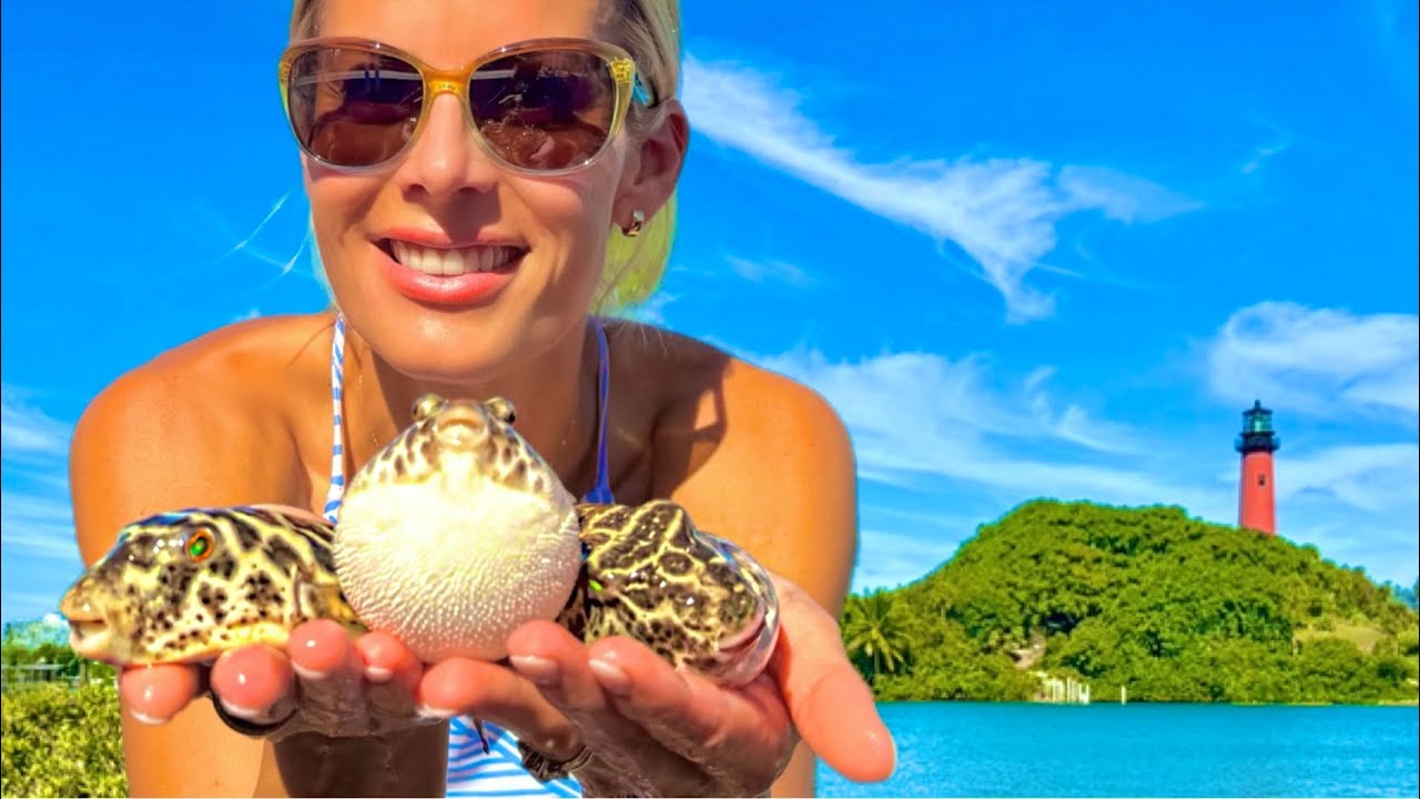 Catching Pufferfish for Thanksgiving