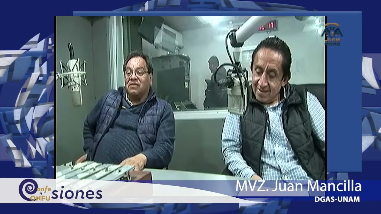 #animalesdecompañía