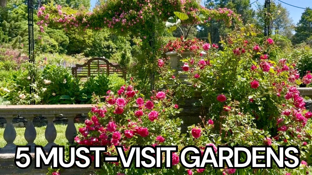 Botanical Garden Tours to Beat the Winter Blues❤️ Rose Garden, Color Block Design, Tropical Borders