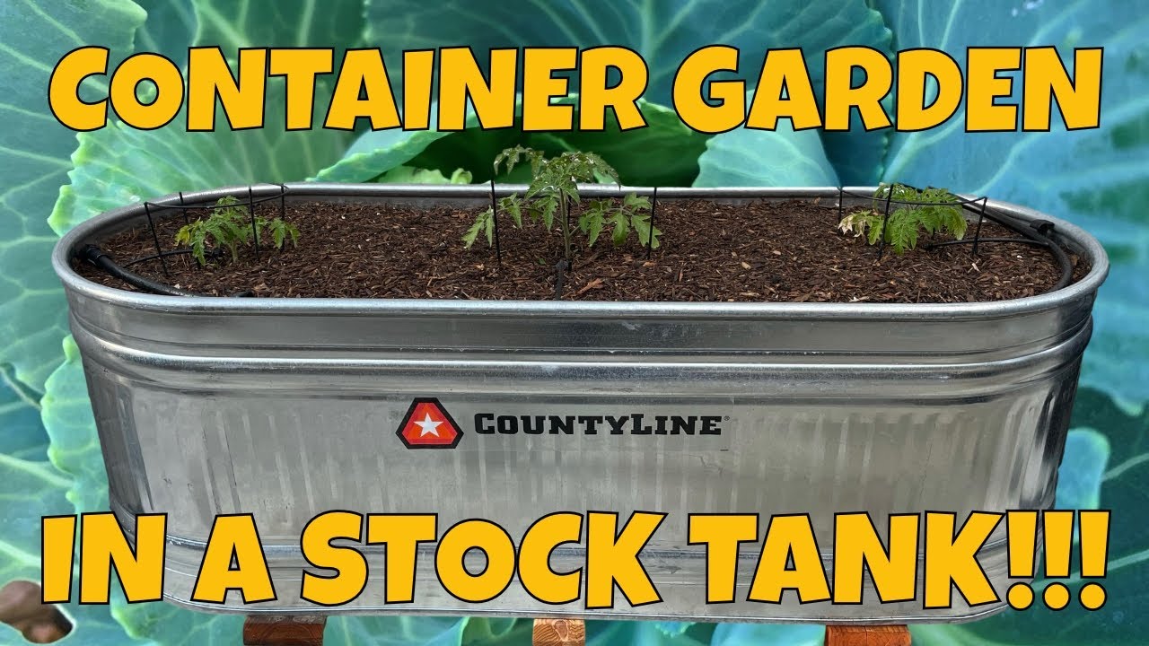 Can You Grow a Garden in Stock Tanks?