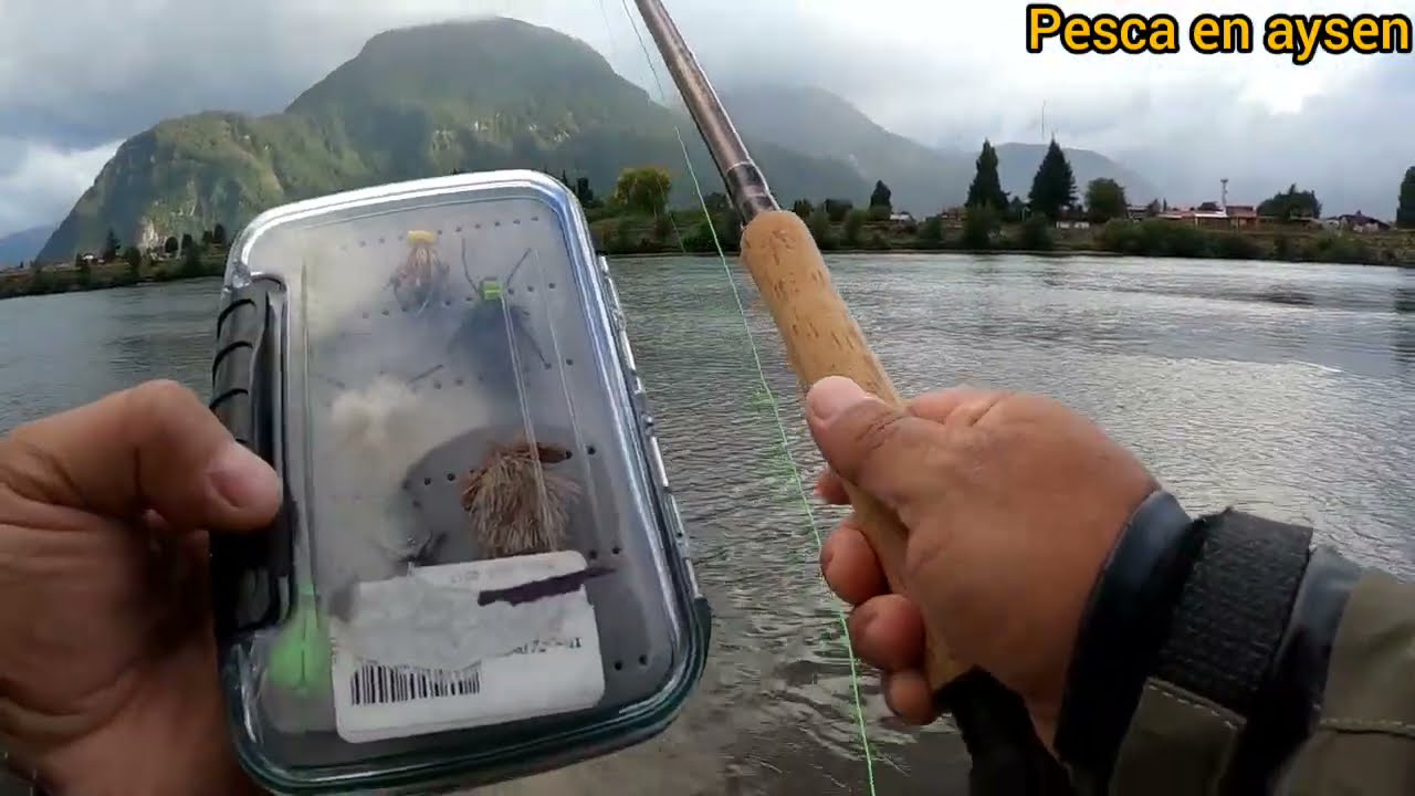 Pesca en aysen, mi primeras capturas con caña mosquera.