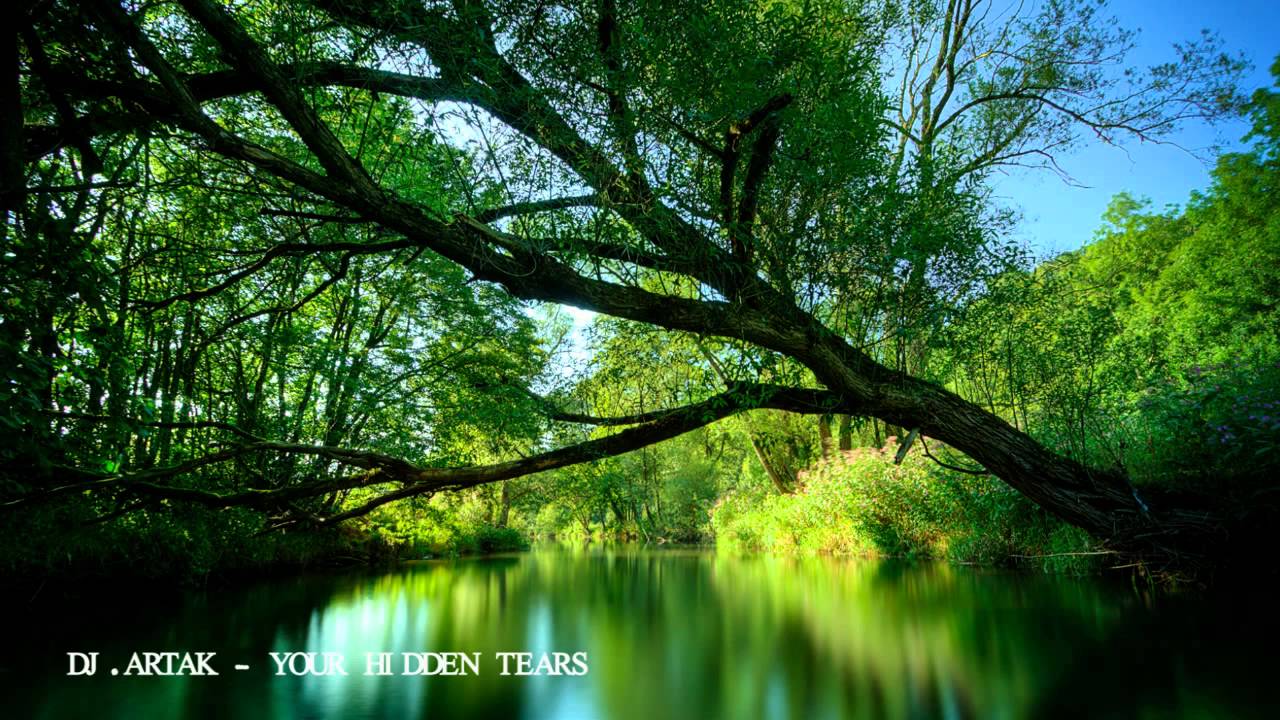 DJ.ARTAK (ArtReason) - YOUR HIDDEN TEARS.mp4