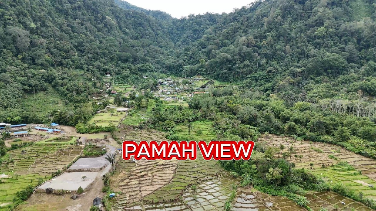 Pamah View
