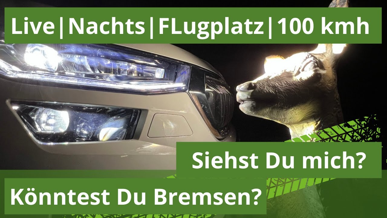 Nachtfahrt Flugplatz - 100 kmh - Wild - Voll LED Matrix - Skoda Kodiaq