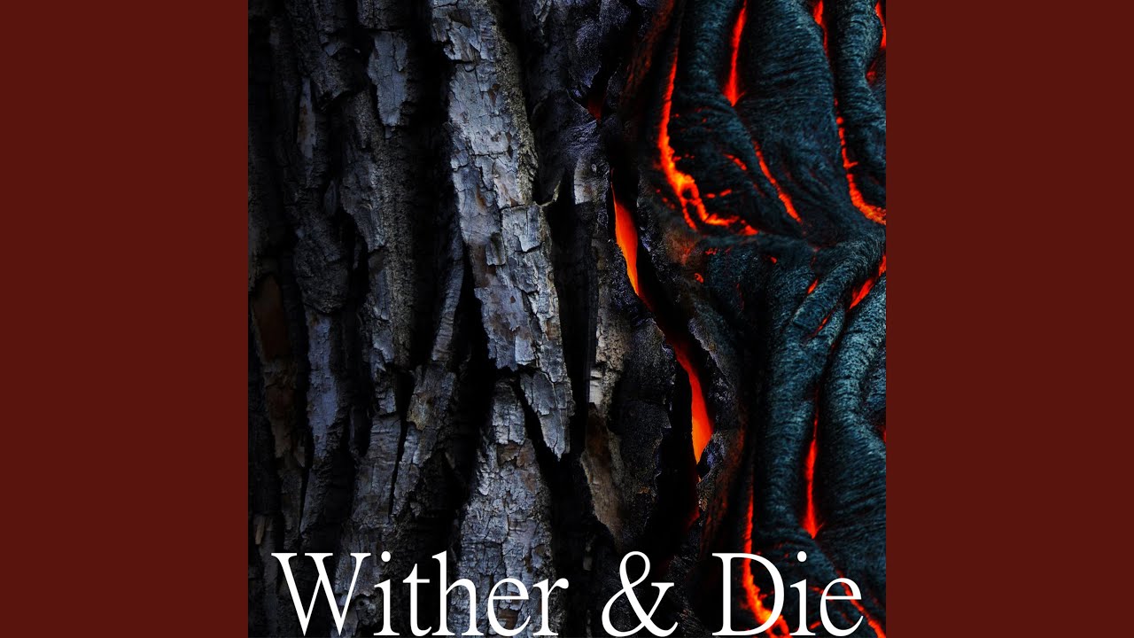 Wither & Die (Devil May Cry)