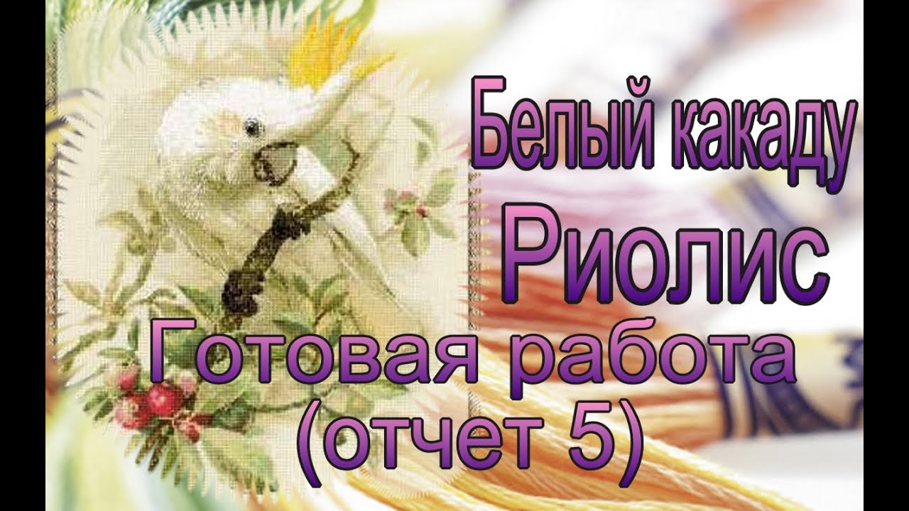 Вышивка крестом / Готовая работа Риолис Белый какаду