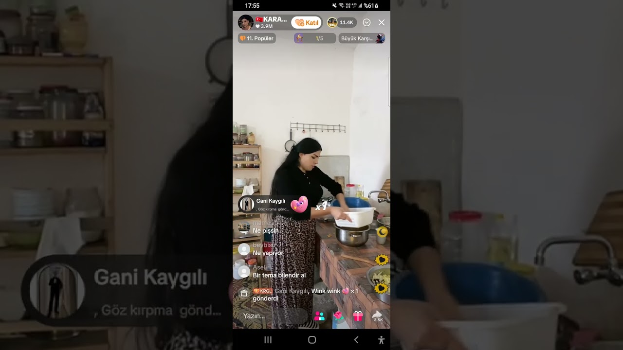 Karagülün çilesi   180