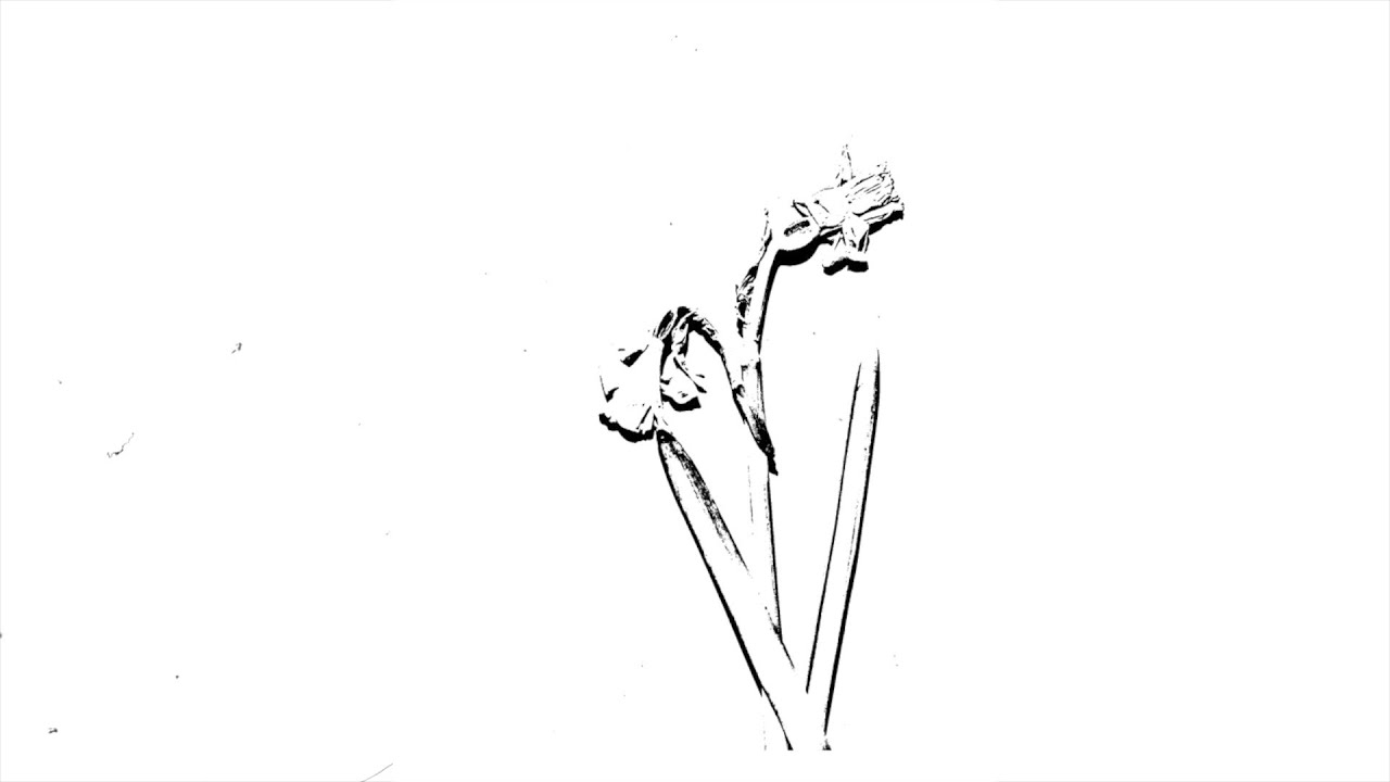 Clive Davis Creative Sample (F22 internal transfer)