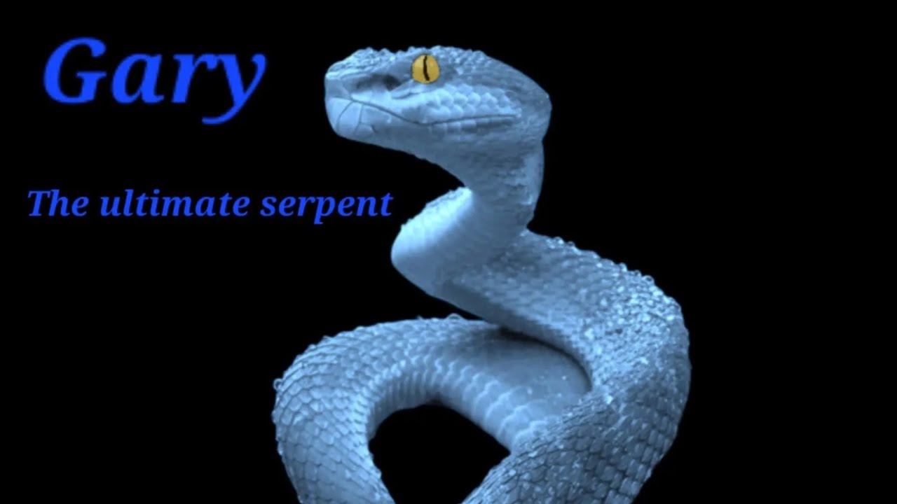 Meet Gary (Thanatophis Namaracus) The start of a new war