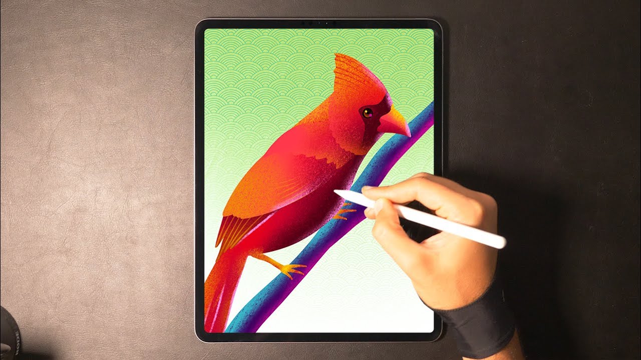 Cardinal - Procreate Illustration