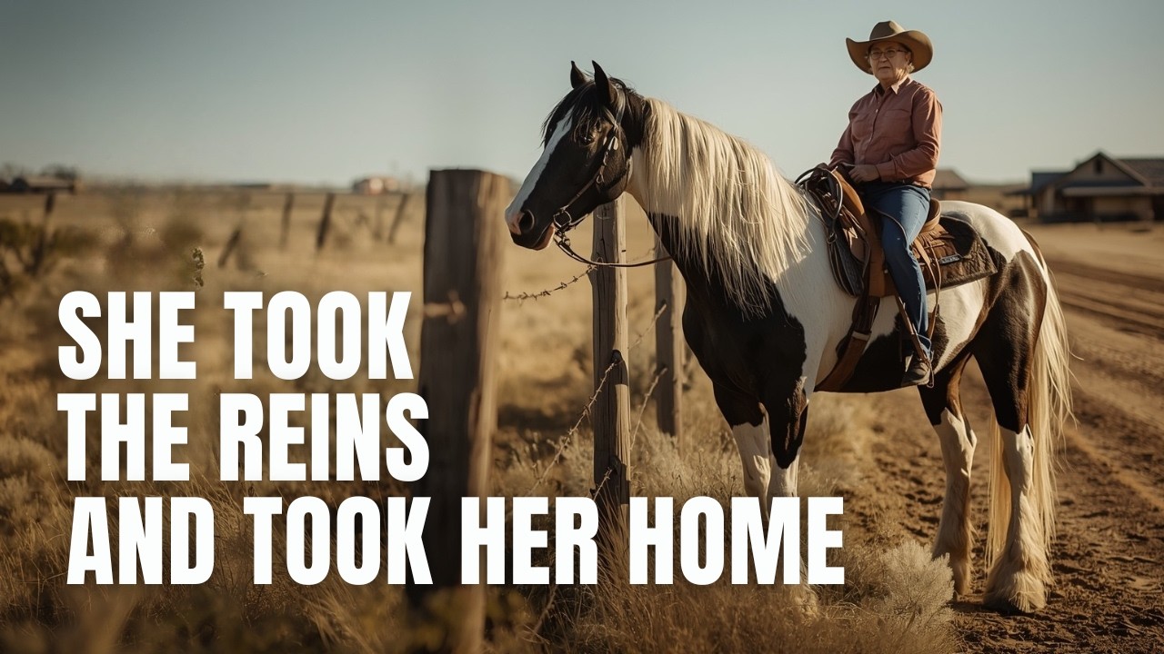 A Widow Bought a Horse to Start Over... The Horse Led Her Back to the Fenceline of Her Past