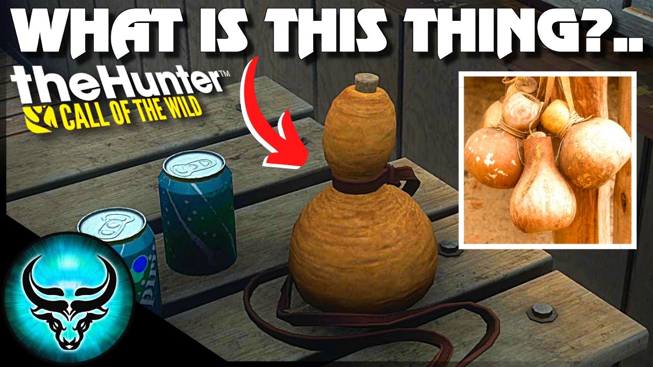NEW MAP CLUE?! My Thoughts on What This Could Mean.. theHunter Call of the Wild