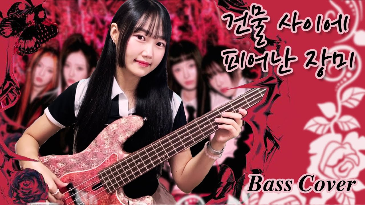 H1KEY - 건물 사이에 피어난 장미🌷 Bass Cover (건사피장)